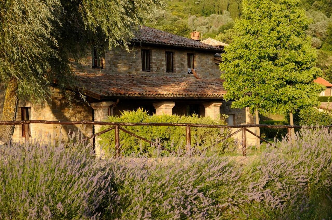 Agriturismo Le Case Assisi Exteriör bild